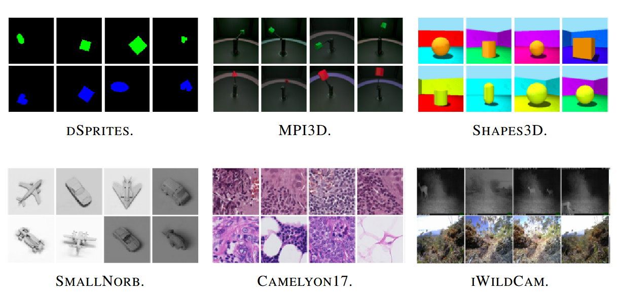 Datasets for distribution shift